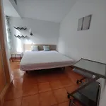 Casa Do Cedro *