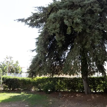 Casa Do Cedro *